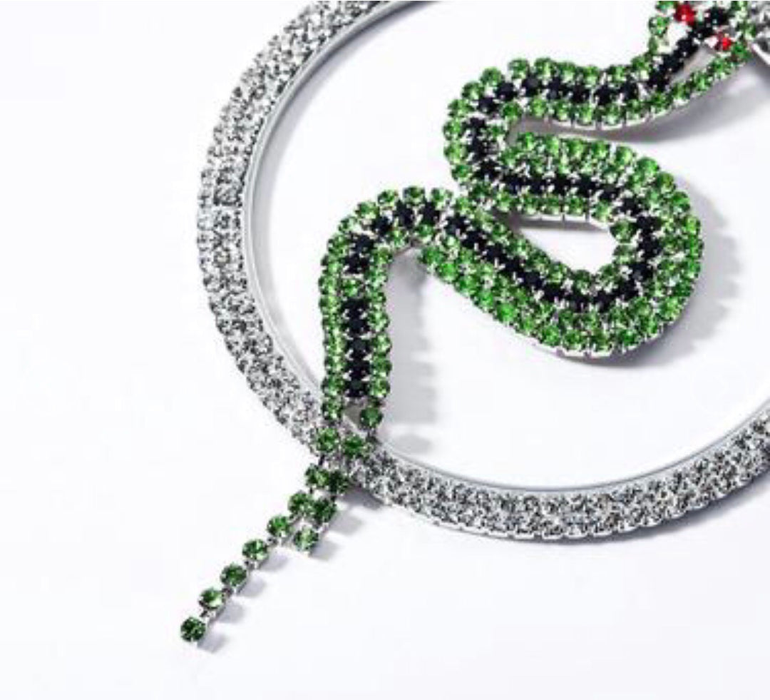 Rhinestone Hoop Snake Earrings