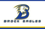 Load image into Gallery viewer, Brock Eagles Custom Lunch Box