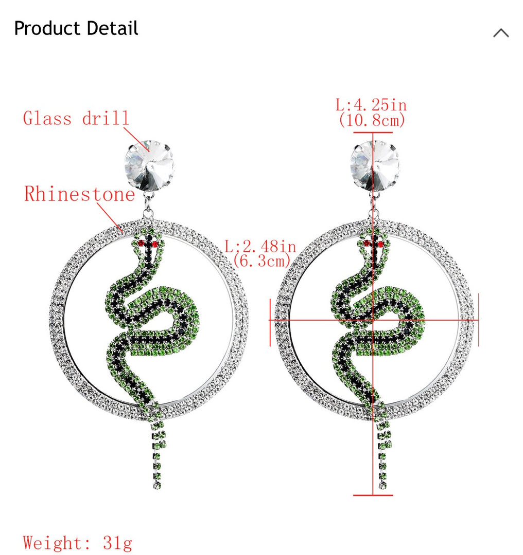 Rhinestone Hoop Snake Earrings