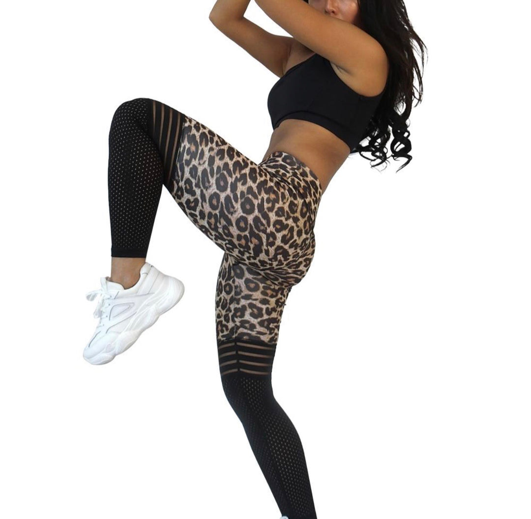 Leopard Print Legging with Jersey Mesh