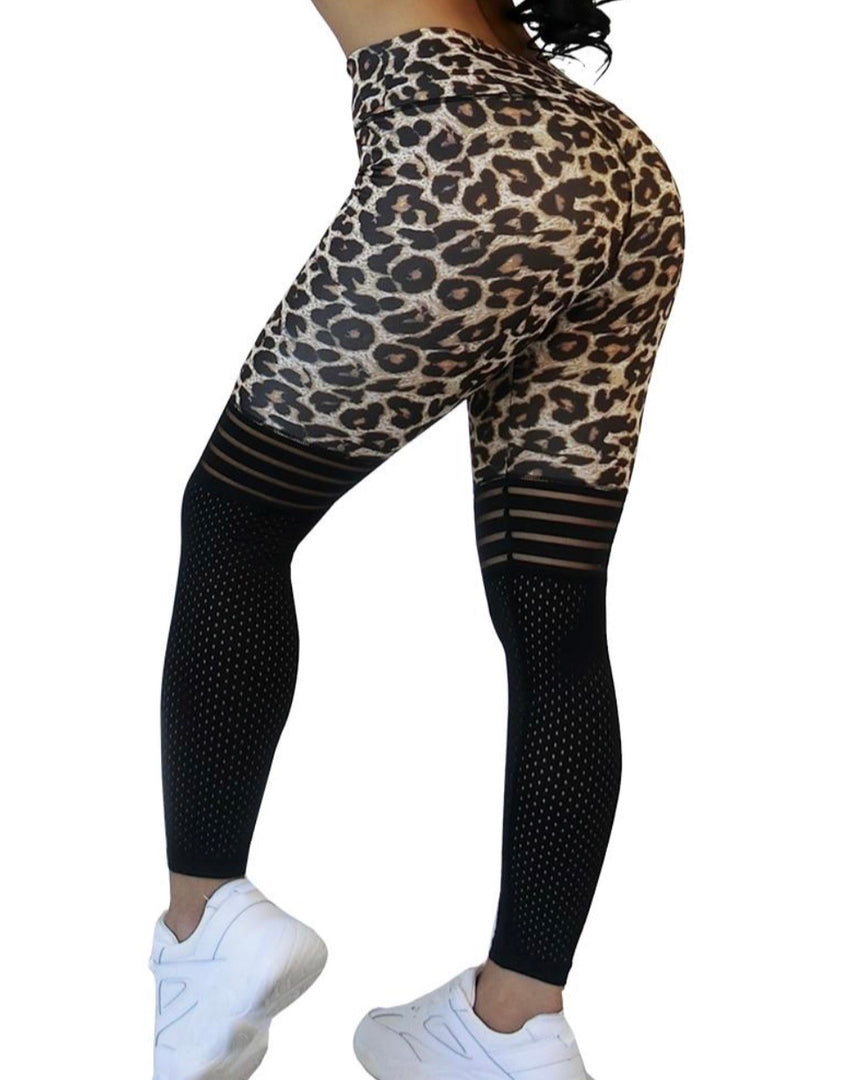 Leopard Print Legging with Jersey Mesh